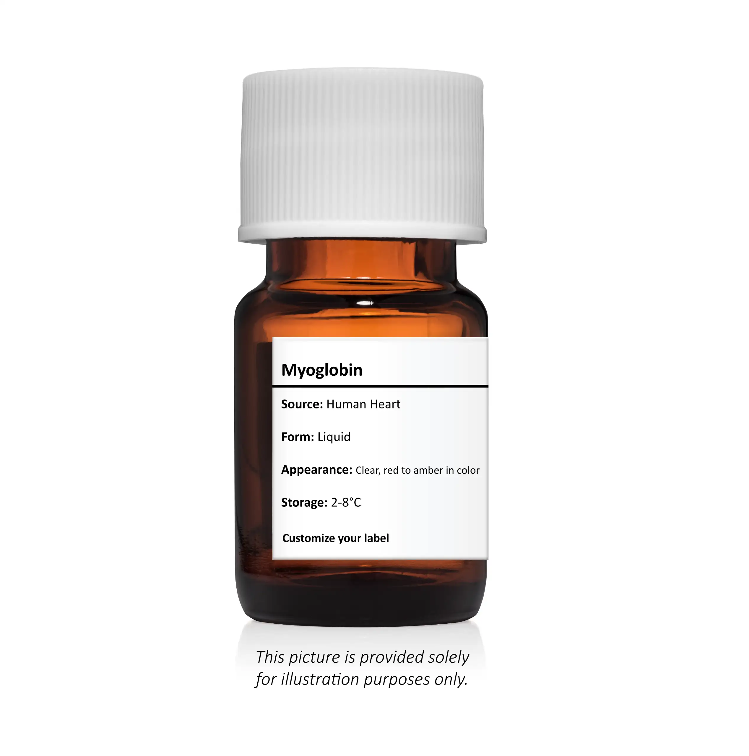 Myoglobin