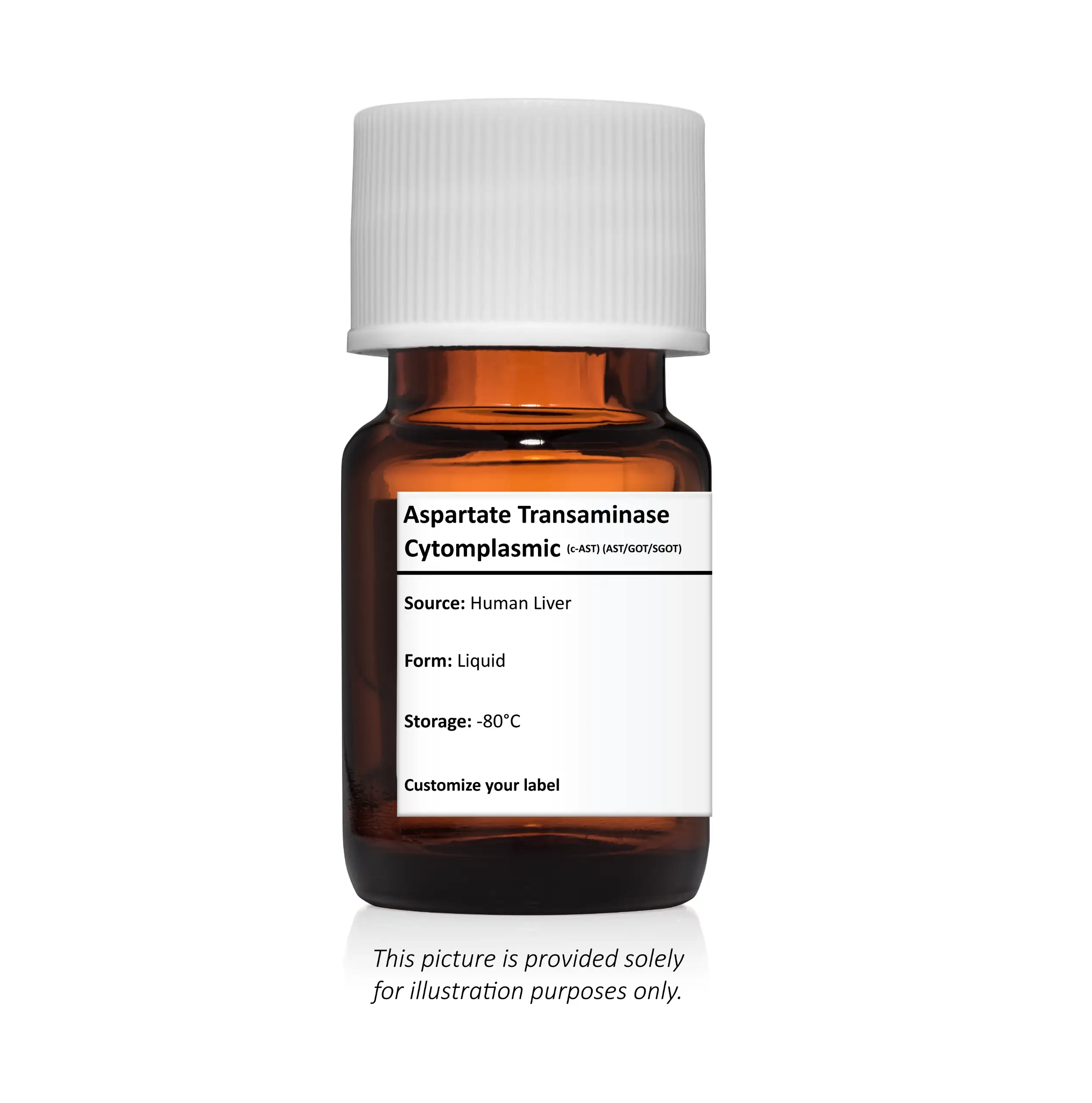 Aspartate Transaminase Cytoplasmic (c-AST) (AST/GOT/SGOT)