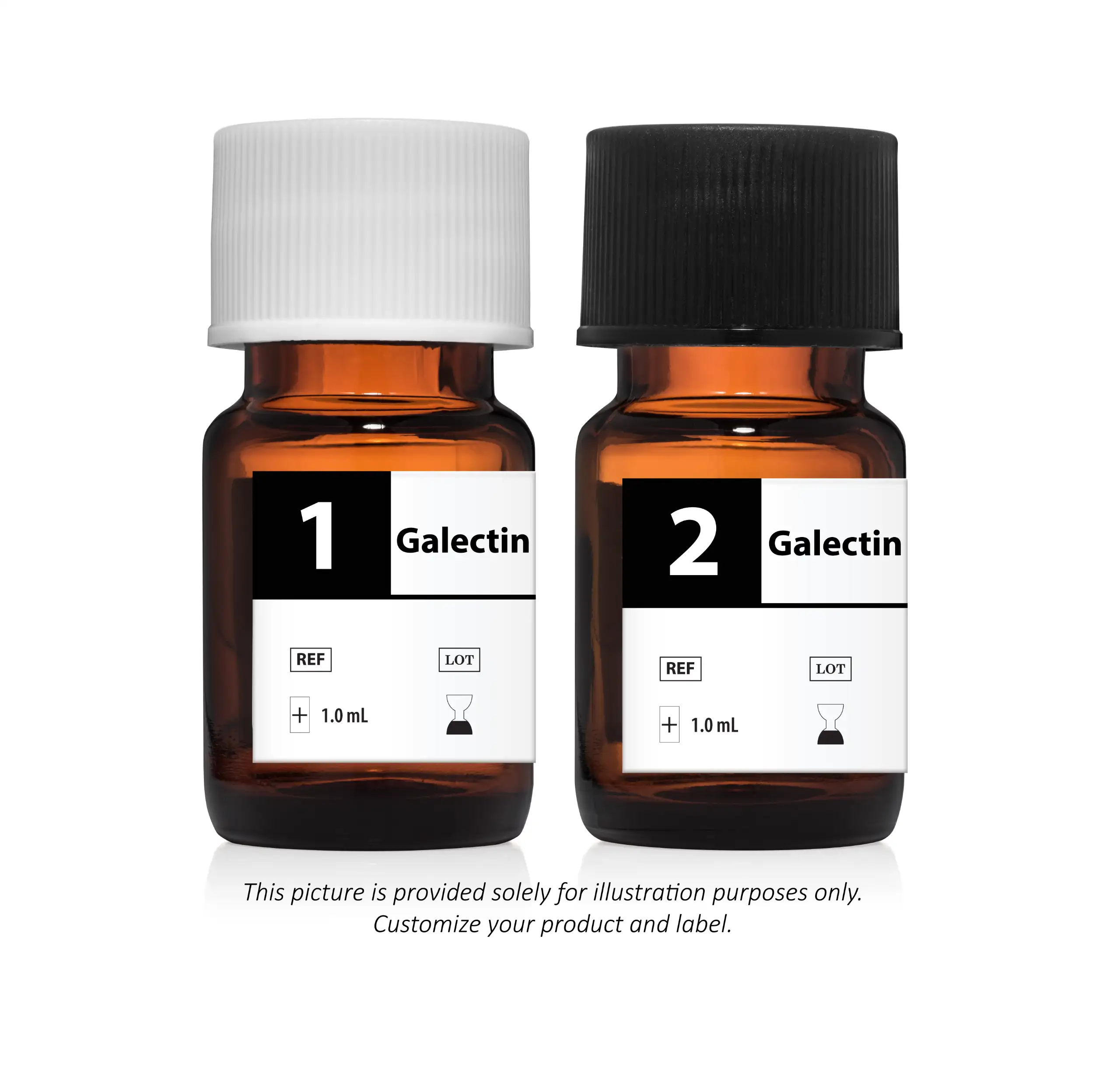Galectin Control